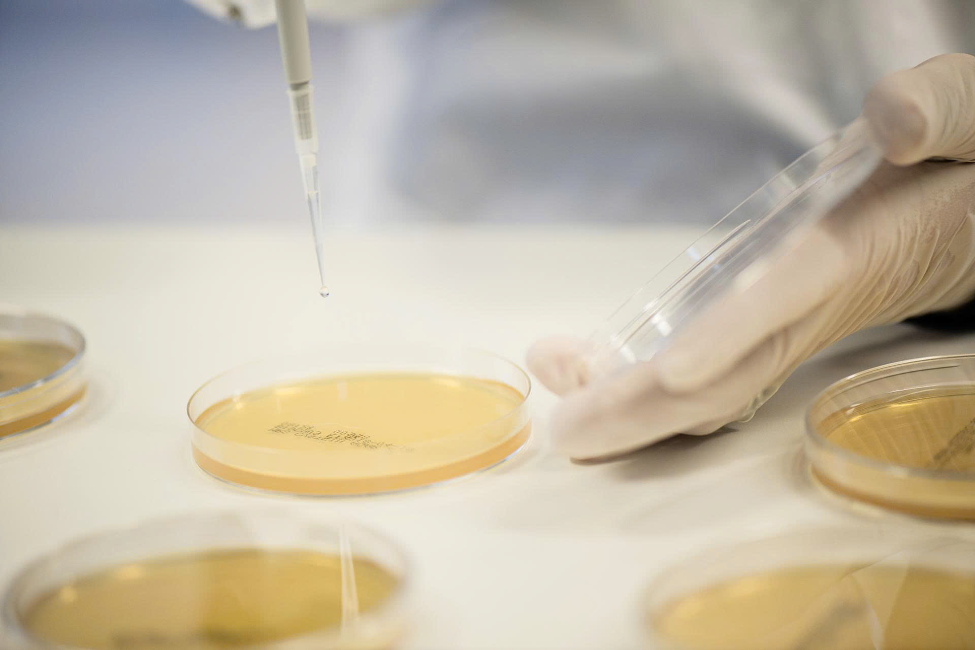 z7243659806278_49b6cedd8fe19e26734b87cfad60569f