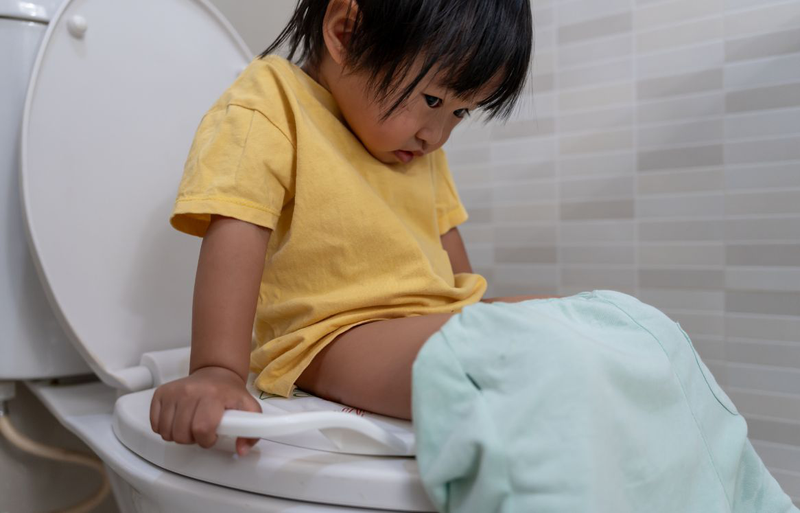 Bổ sung L.reuteri để cải thiện các triệu chứng và thói quen đi tiêu trong táo bón chức năng