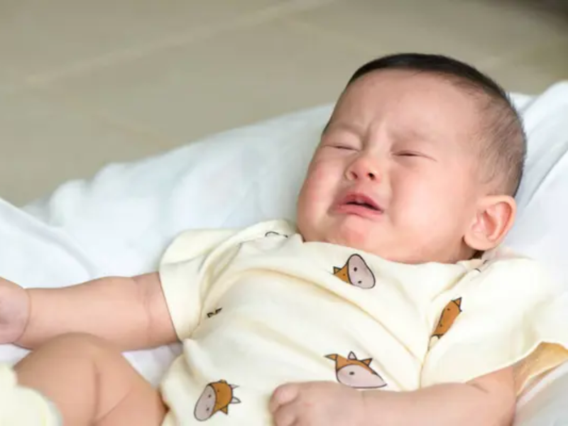 Tiêu chảy, loạn khuẩn khiến bé mệt mỏi, biếng ăn