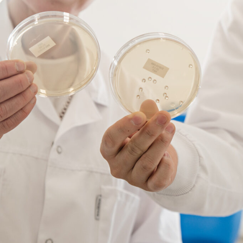 L.reuteri Protectis là men vi sinh duy nhất được chỉ định trong phòng ngừa và kiểm soát khóc dạ đề ở trẻ sơ sinh