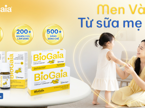 BioGaia được mệnh danh là Men Vàng từ sữa mẹ