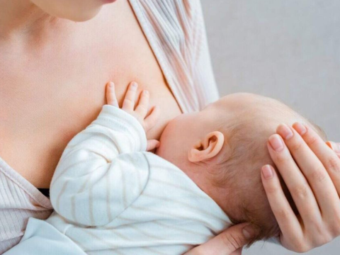 Vai trò của các lợi khuẩn có trong sữa mẹ
