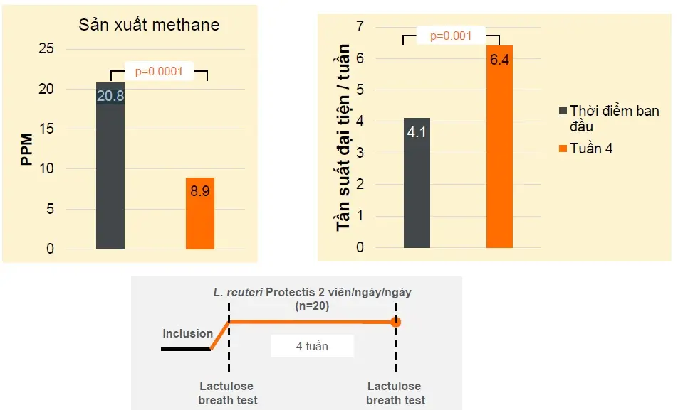 Biogaia giảm táo bón thông qua giảm khí methane