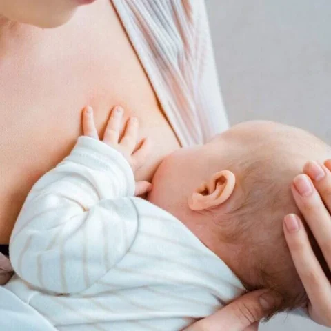 Vai trò của các lợi khuẩn có trong sữa mẹ